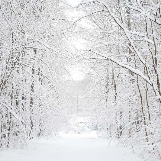 How to Protect Your ProForno Oven in Winter: Best Practices for Cold Weather